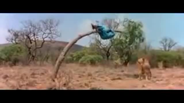 good english ; () very good: loin and man - :. fully fun video #@