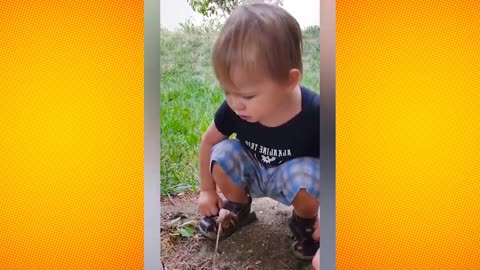 Moment of funny babies
