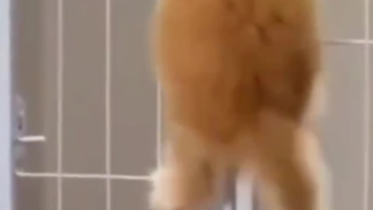 Funny