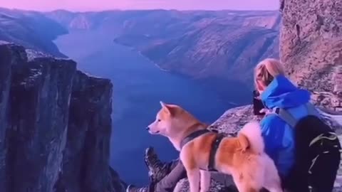 Beautiful nature video