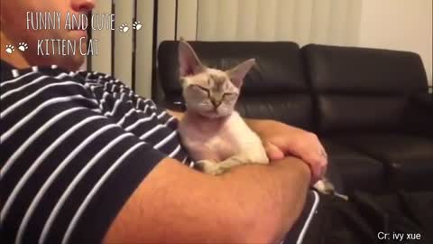 Cute cat sleeping with owner Compilation2021