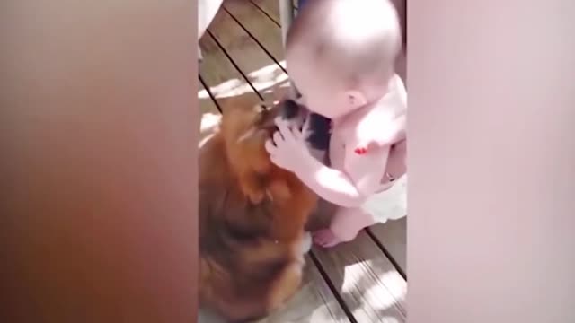 Dogs are the best friend of Babies 58