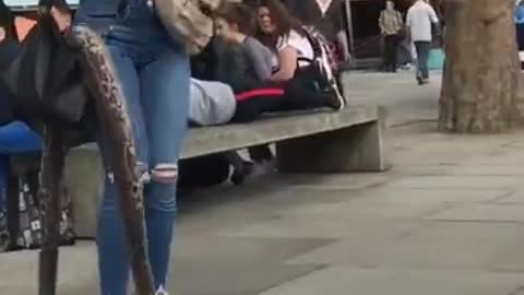 snake 🐍 prank video