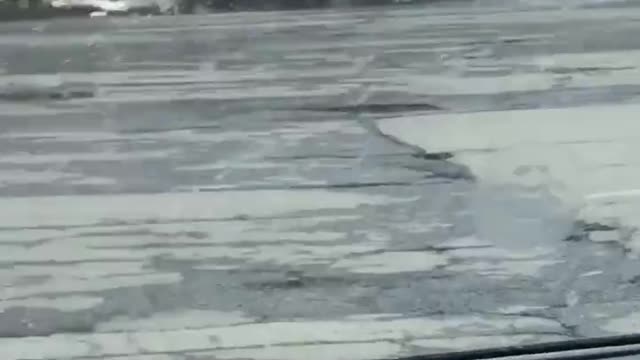 Policemen Attempt to Hit Raccoon