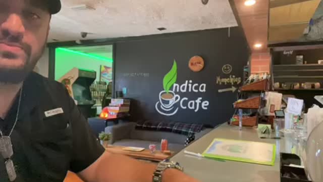 Synergy Happens At the Indica Café. Tampa Bay Things-to-do!