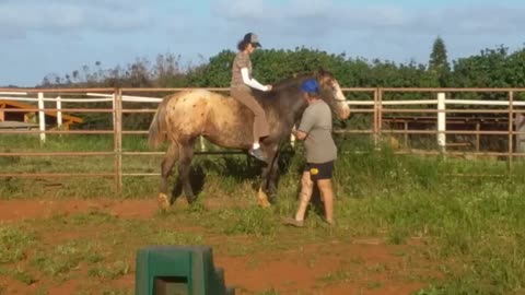 Molokai bare back ii