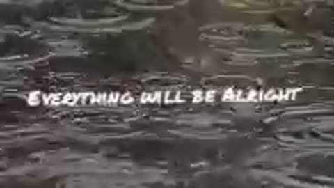 Relax your mind with sounds of rain drops