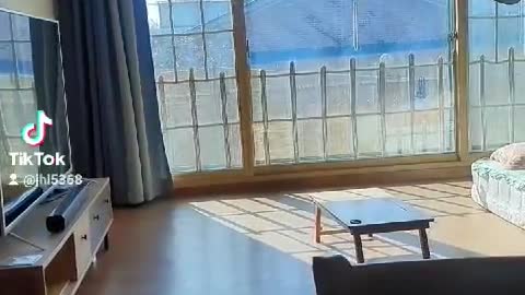 Korean morning with sunlight