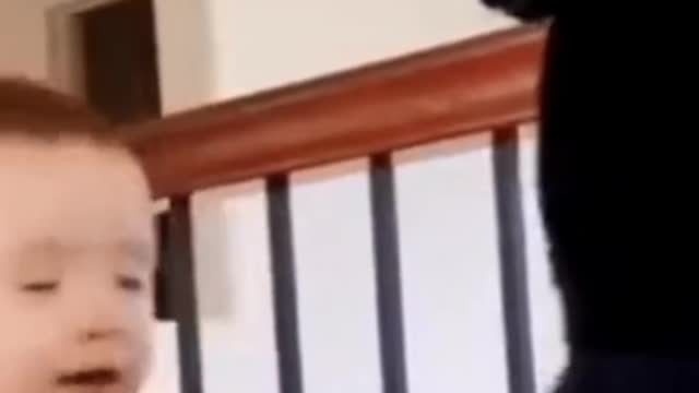 full of fun video