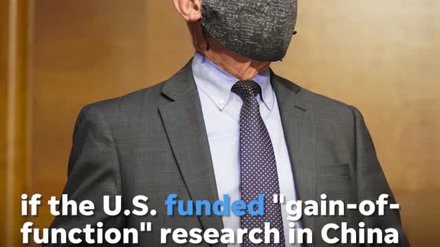 "Conspiracy Theories"and COVID-19: Rand Paul and Fauci face off