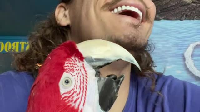 Some fun with Captain