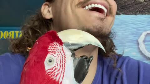 Some fun with Captain