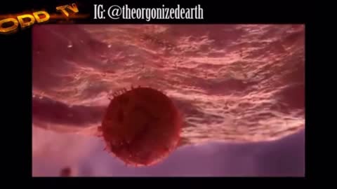 Virus vs. Exosome Theory