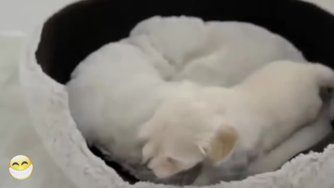 Popcorn anyone????