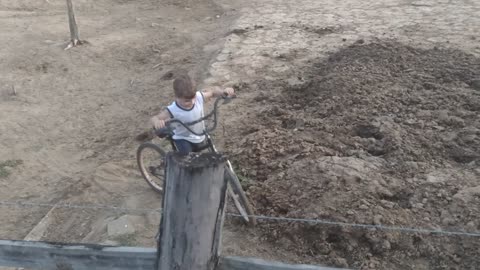 Vida no campo