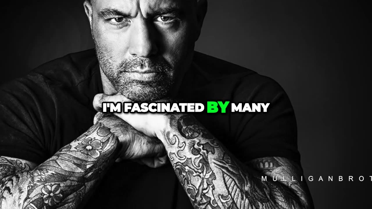 The Endless Fascination of Martial Arts, Comedy, and Exploring the World