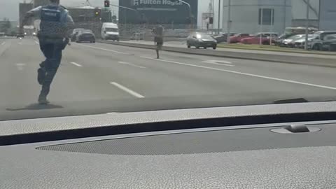Run Forest Run 🤣