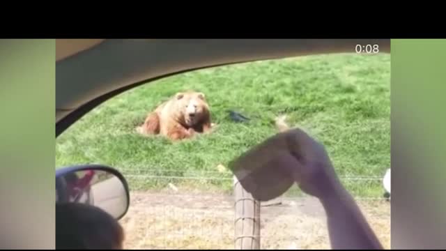 the cutest and funniest pets 😍