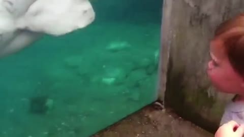 Funny Babies At The Zoo - LAUGH MORE