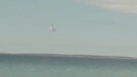 Unidentified Water Creature Spotted Plunging In The Sea In Croatia