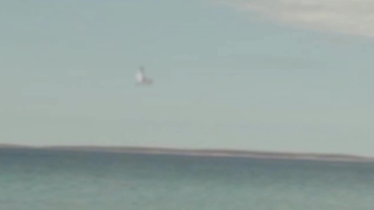 Unidentified Water Creature Spotted Plunging In The Sea In Croatia