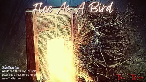 1564.Flee As A Bird