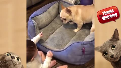 baby vs dog epic fight for bed
