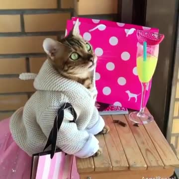 Let’s go for Victoria Secret shopping