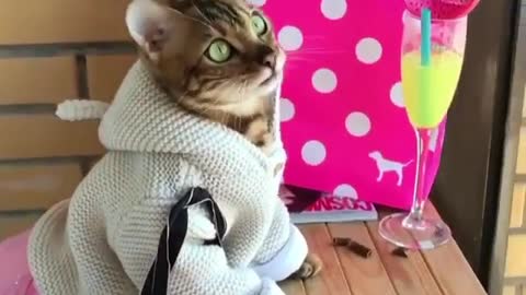 Let’s go for Victoria Secret shopping