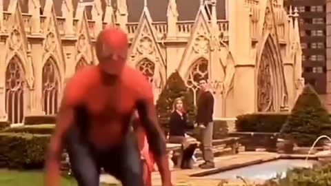 Homem aranha do nordeste