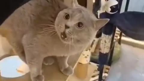 Say no means NO..🤣