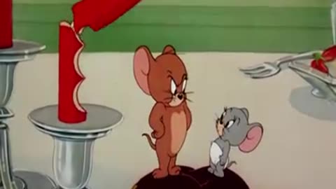 Funny story cartoon Tom and Jerry