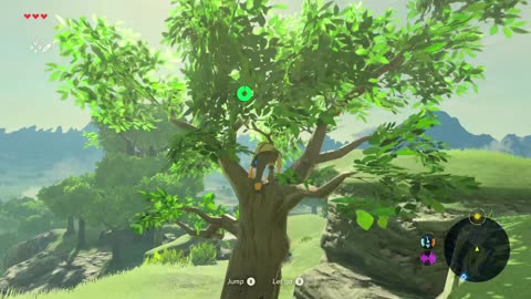 The Legend of Zelda: Breath of The Wild #1