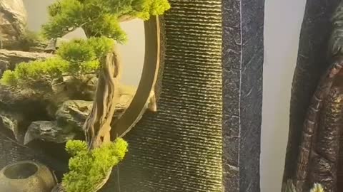 The welcome wall is beautiful