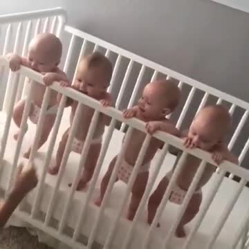 Omg 💕 Look how cute they are 🥰🥰🥰