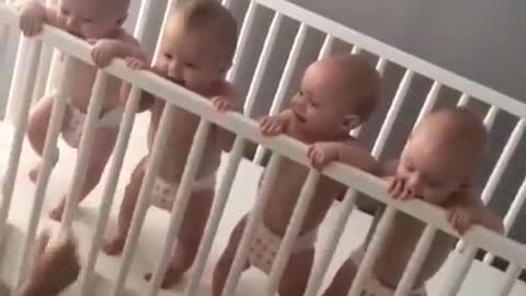 Omg 💕 Look how cute they are 🥰🥰🥰