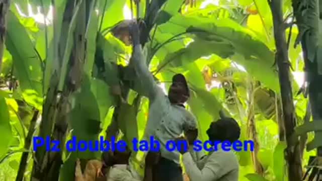 Village _Tour_ with _Abhishak_ very _Hard _Work _pe_ best _video.