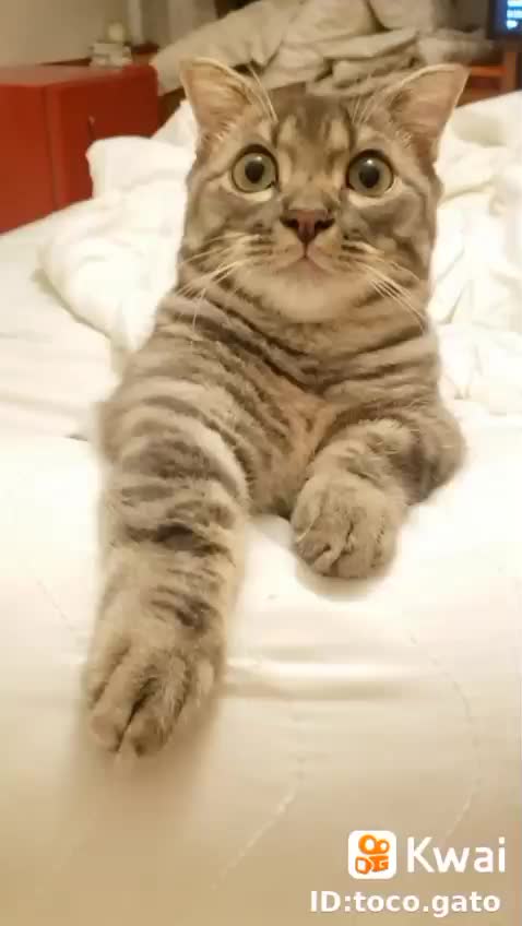 with you my true love