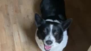 Buster says what’s up all