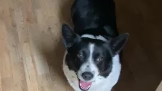 Buster says what’s up all