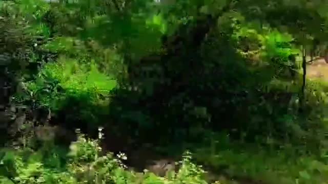OLD IS GOLD MUSIC VIDEO RAILWAYS
