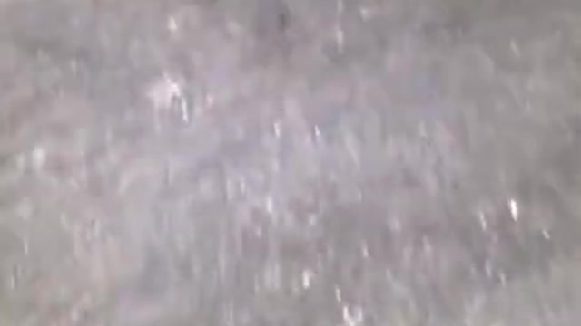 Top viral fish fishing Amazing fish video ,fishing video TIK TOK 46