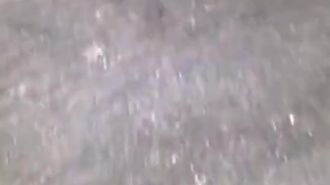 Top viral fish fishing Amazing fish video ,fishing video TIK TOK 46