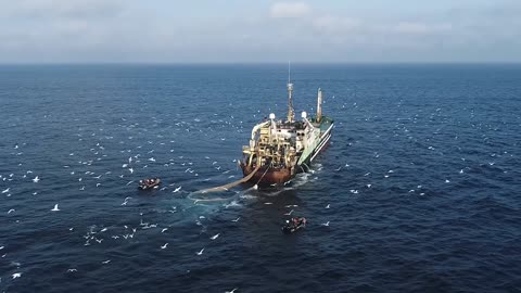 HEAVEN SHALL BURN - My Heart And The Ocean