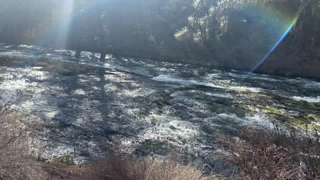 The Sun Shining on the Cascading Metolius River – Central Oregon