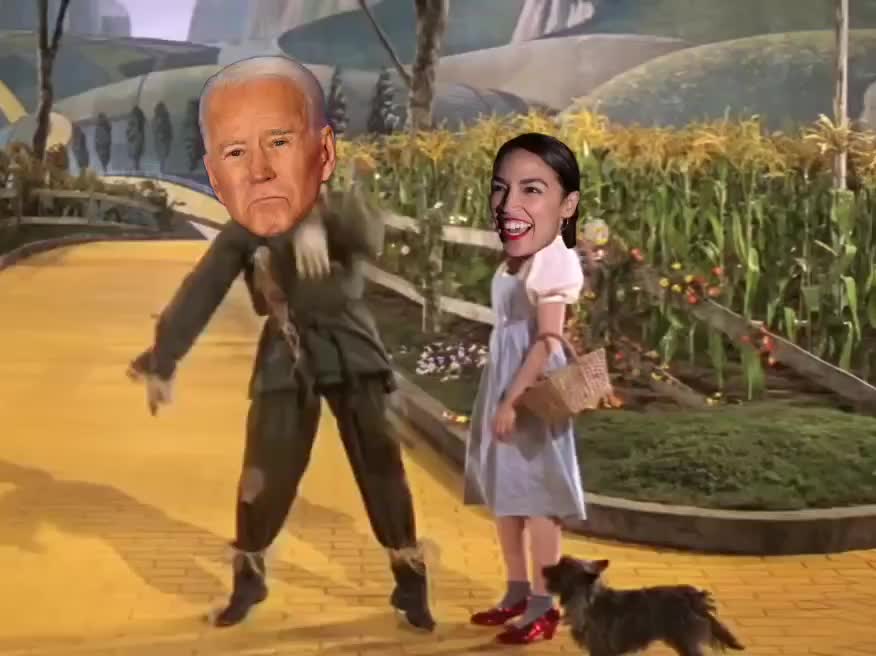 Joe Biden: "If I Only Had Brain"