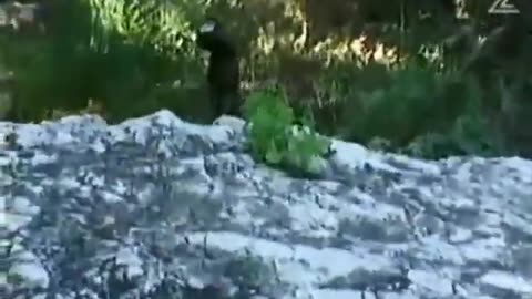 Israeli Tunnel Snake is Next-Level