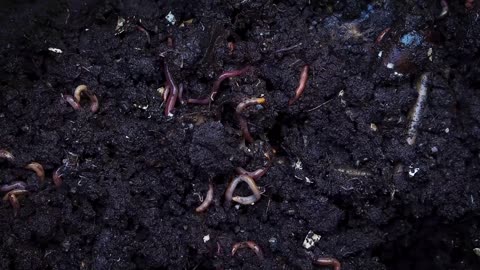 Relaxing Music | Sleeping, Meditation, Stress Relief | [6164] ⭐️