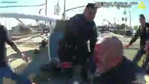 Dramatic dashcam video shows hero cops pulling pilot from crashed plane, before train crash