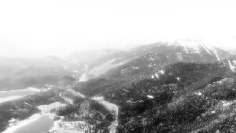 Der Begriff "Heimat"